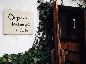 organic restaurant