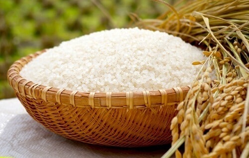無農薬無化学肥料のお米